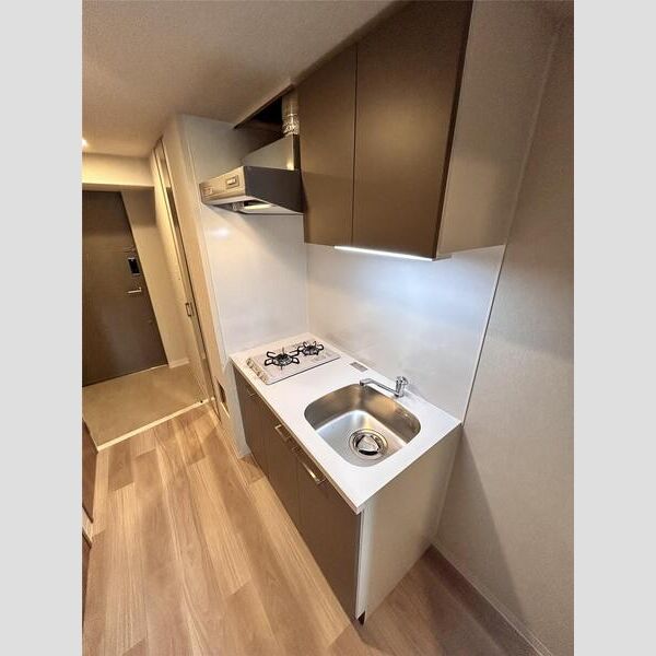 エスリードレジデンス大阪福島サウスフラッツの室内写真31枚目