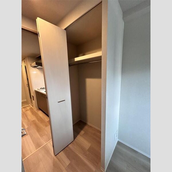 エスリードレジデンス大阪福島サウスフラッツの室内写真43枚目