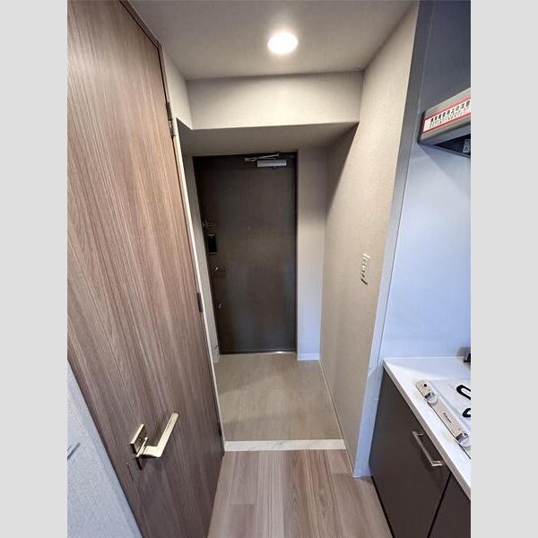 エスリードレジデンス大阪福島サウスフラッツの室内写真5枚目