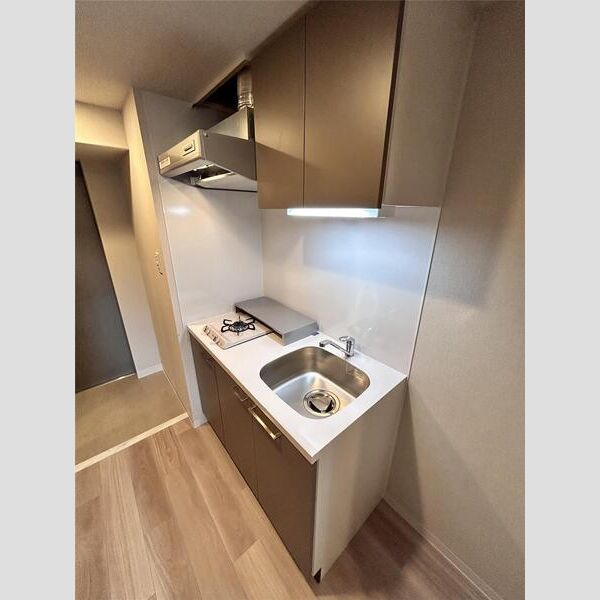 エスリードレジデンス大阪福島サウスフラッツの室内写真27枚目