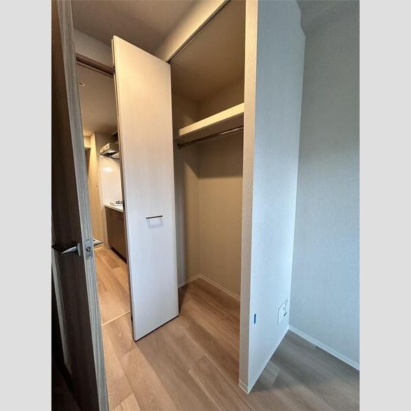 エスリードレジデンス大阪福島サウスフラッツの室内写真45枚目