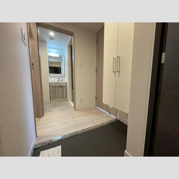 ソルテラス阿波座ウィズの室内写真10枚目