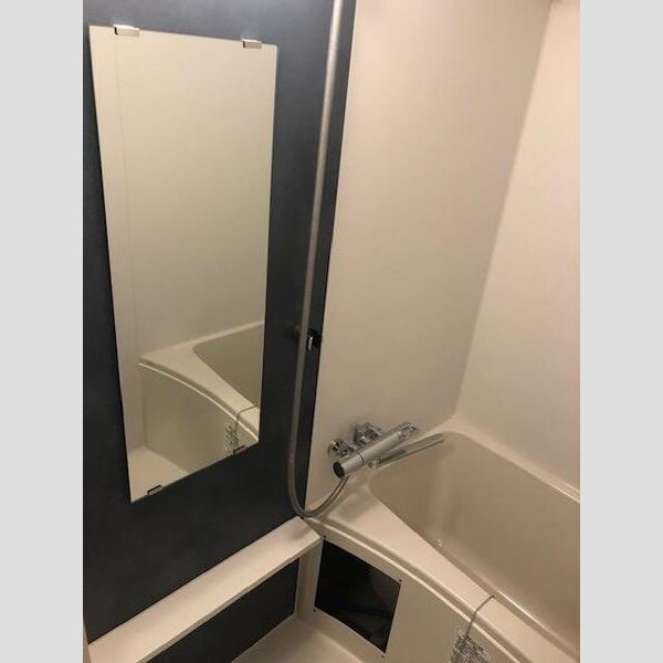 エスリードレジデンス ザ・グラン大阪福島クラスの室内写真224枚目