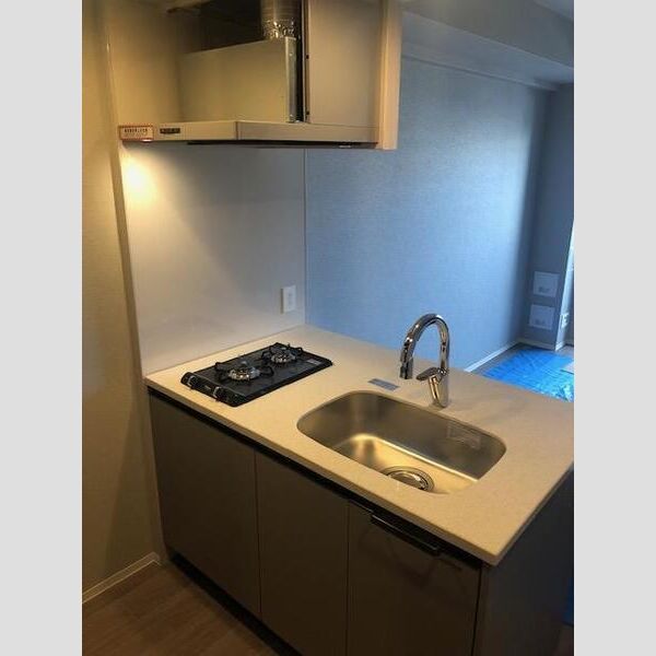 エスリードレジデンス ザ・グラン大阪福島クラスの室内写真218枚目