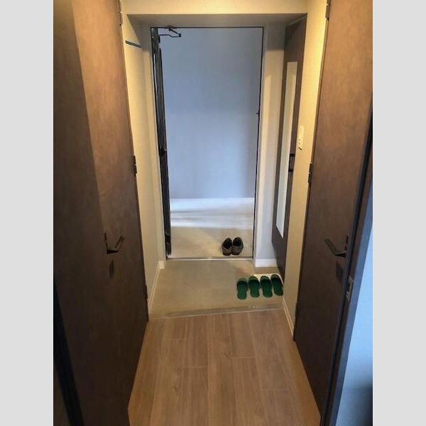 エスリードレジデンス ザ・グラン大阪福島クラスの室内写真253枚目