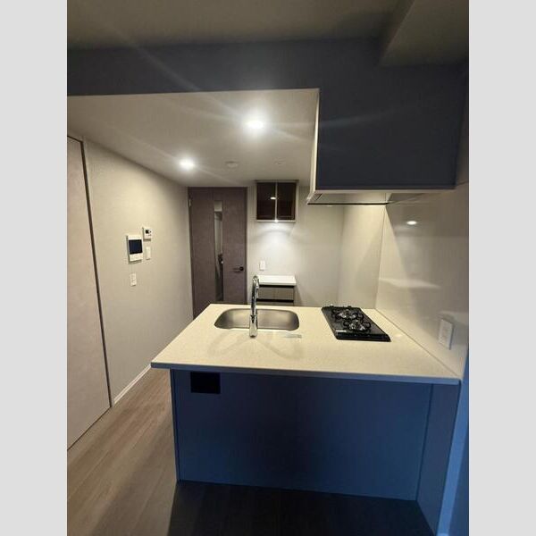 エスリードレジデンス ザ・グラン大阪福島クラスの室内写真48枚目