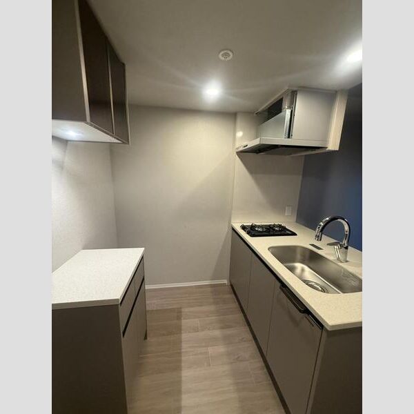 エスリードレジデンス ザ・グラン大阪福島クラスの室内写真62枚目