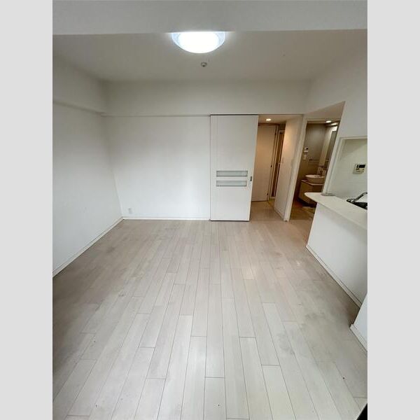 S-RESIDENCE新大阪駅前の室内写真44枚目