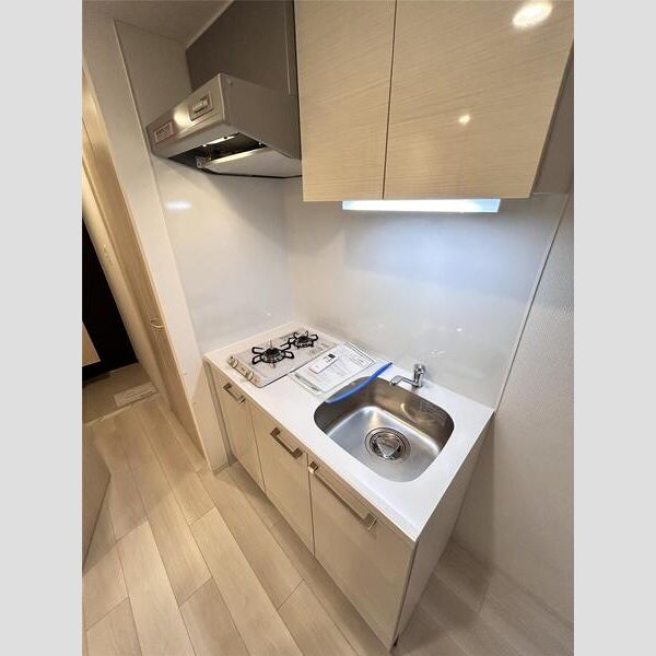 エスリードレジデンス大阪福島フロントの室内写真21枚目