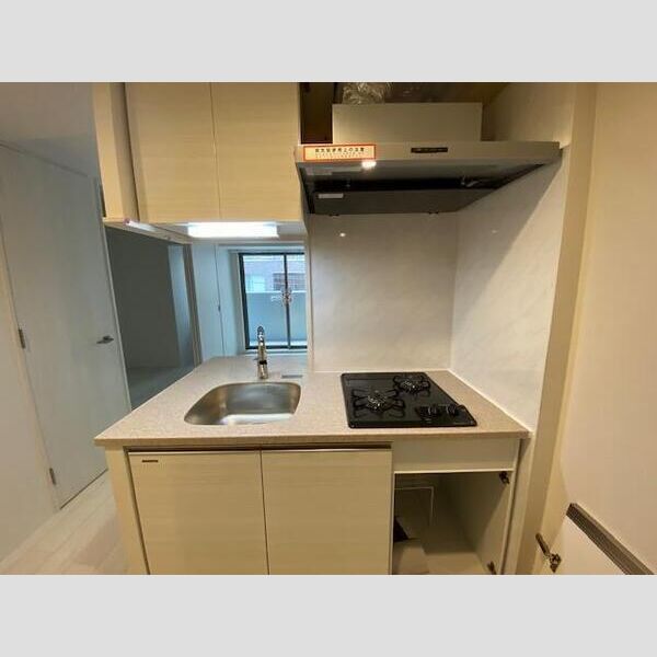 エスリードレジデンスグラン神戸三宮シティの室内写真10枚目