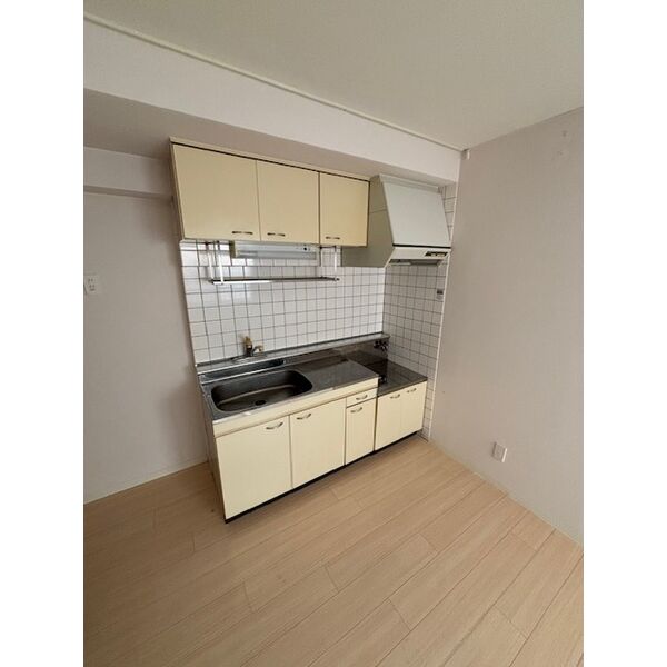 Shiba Bild 2nd 画像4