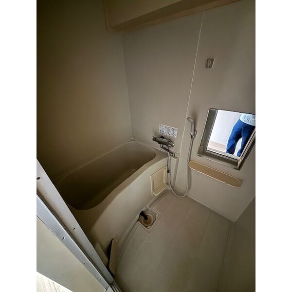 Shiba Bild 2nd 画像6
