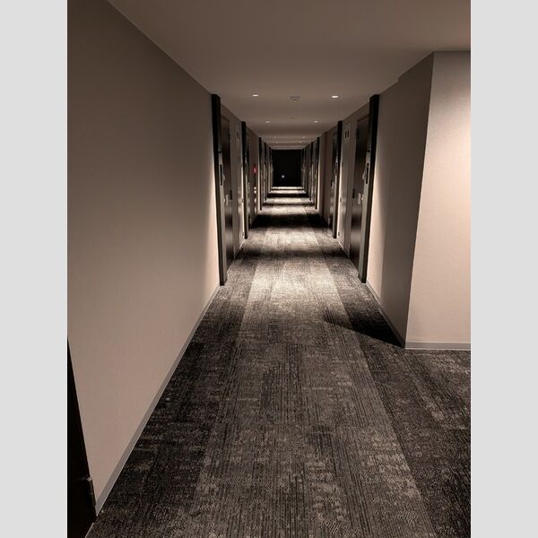 現地周辺 (内廊下)