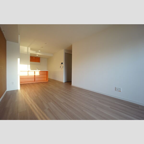 居室・リビング (LDK)