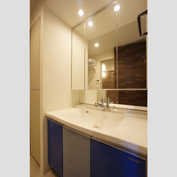 洗面所 (洗面化粧台(洗面室内に壁付き扇風機あり))