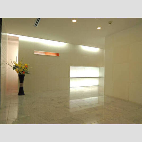 その他 (カスタリア水天宮Ⅱ　エントランス)