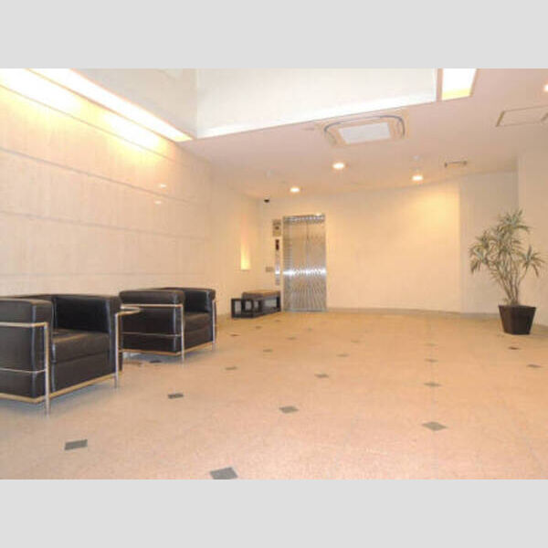 その他 (カスタリア銀座Ⅲ　エントランス2)