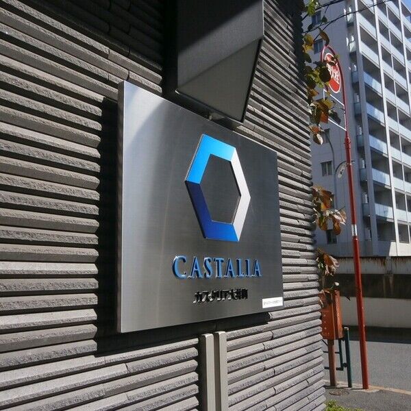 現地周辺 (カスタリア大井町)