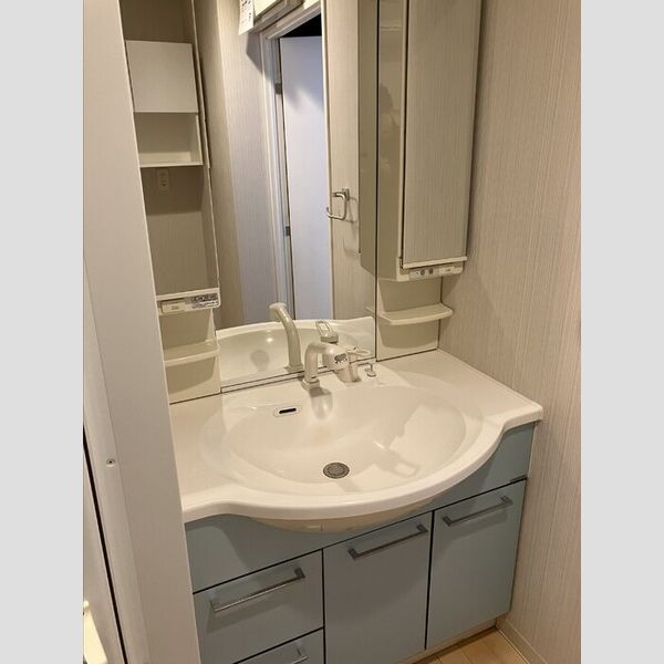 洗面所 (洗面所)