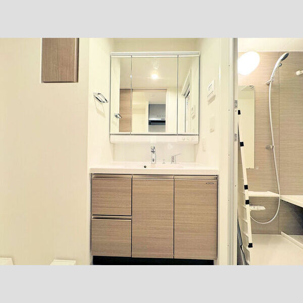 洗面所 (洗面所)