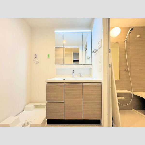 洗面所 (洗面所)