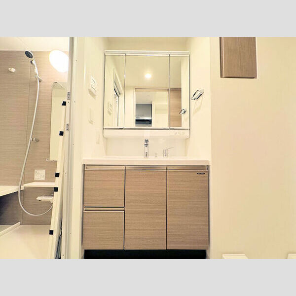 洗面所 (洗面所)