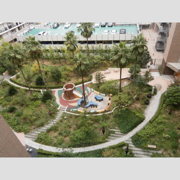 現地周辺 (中庭)