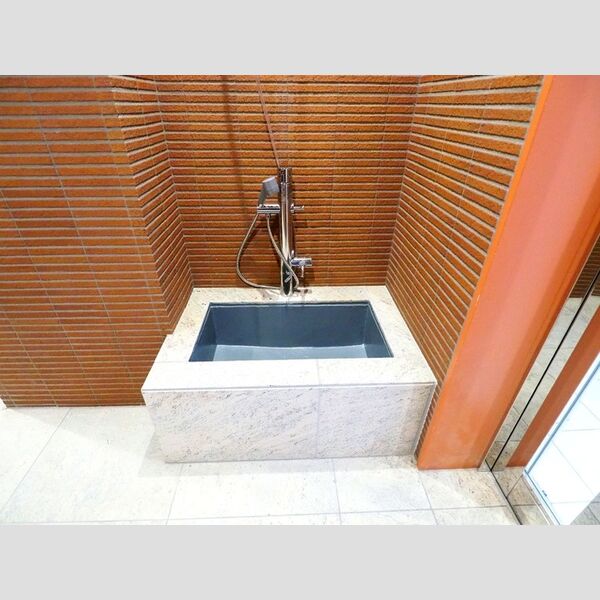 現地周辺 (ペット足洗い場)