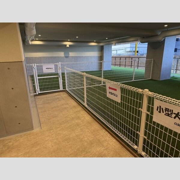 現地周辺 (ドッグラン)