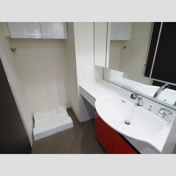 洗面所 (洗面化粧台・洗濯機置き場)