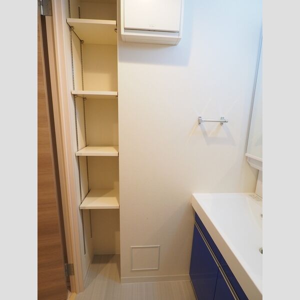 収納 (洗面室収納)