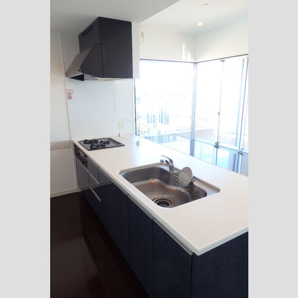 キッチン (広々キッチン)