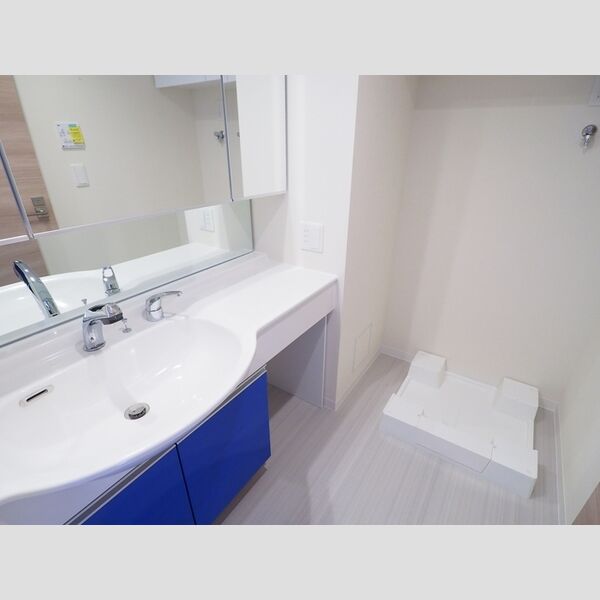 洗面所 (洗面化粧台・洗濯機置き場)