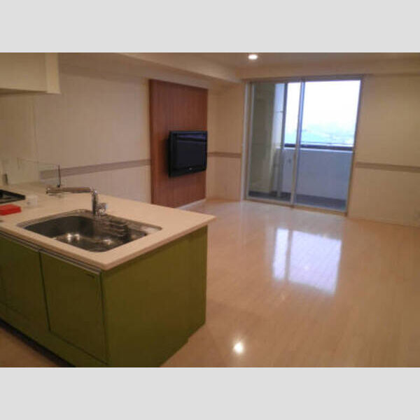 その他 (ロイヤルパークス西新井0403)