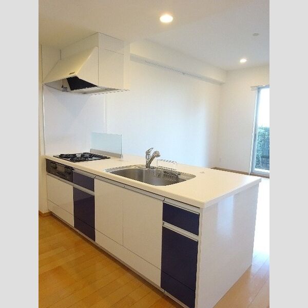 キッチン (ロイヤルパークスリバーサイド　キッチン)