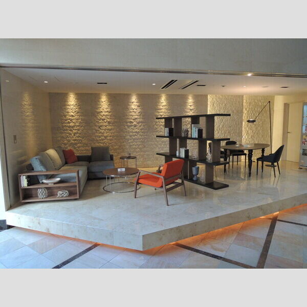 現地周辺 (ロビー)