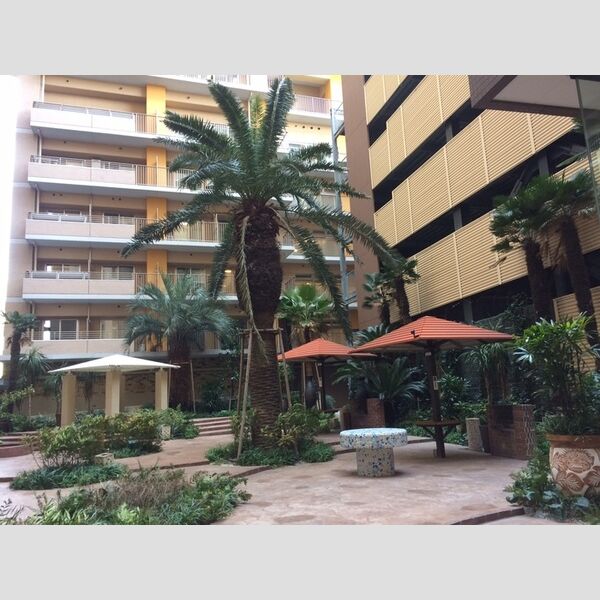 現地周辺 (バーベキューコーナー)