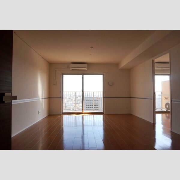 居室・リビング (LDK　南向き)