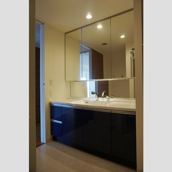 洗面所 (洗面　3面鏡収納)