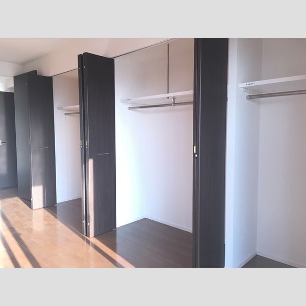 その他 (南側洋室収納)