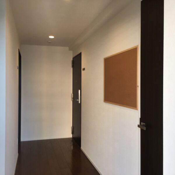 玄関 (右側が2LDK玄関・左側が1R玄関の共用廊下です。)