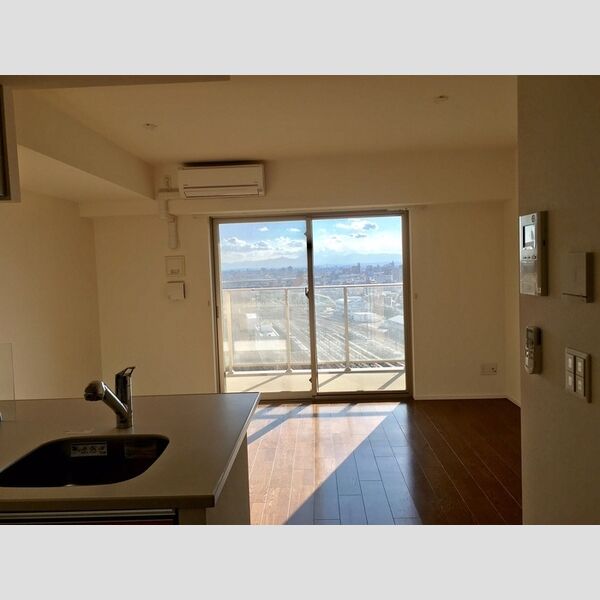 居室・リビング (1R部分のLDK=1Rです。)