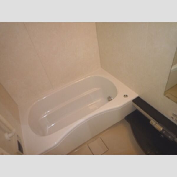 バス (お風呂はミストサウナ機能付き!)