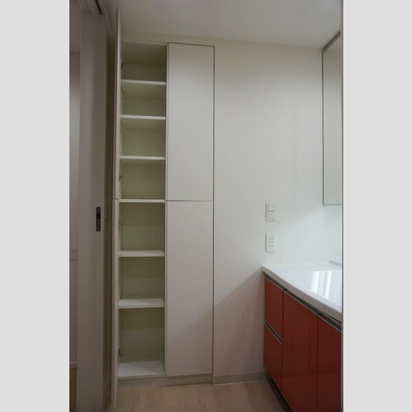 洗面所 (リネン庫)