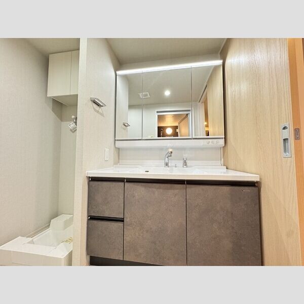 洗面所 (洗面所)