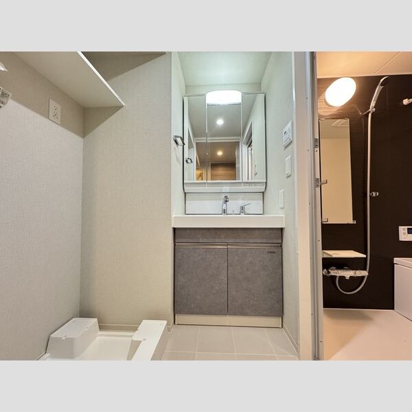 洗面所 (洗面所)