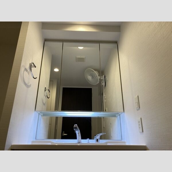 洗面所 (洗面所)