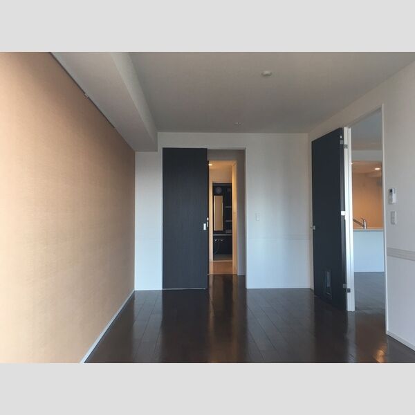 その他 (南西の洋室。クローゼットは洗面室へのウオークスルータイプです。)