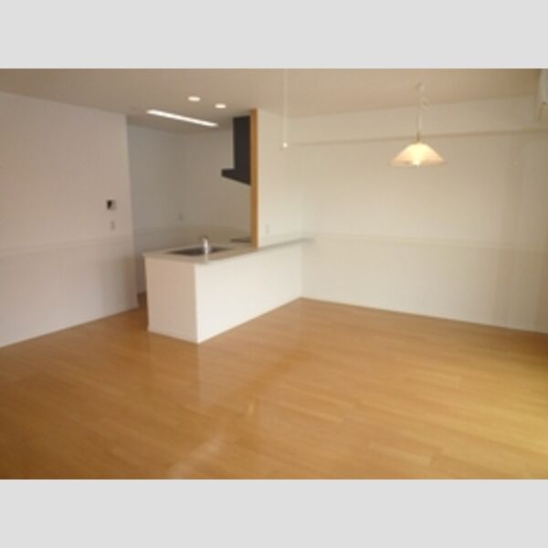 居室・リビング (LDKの雰囲気です♪)