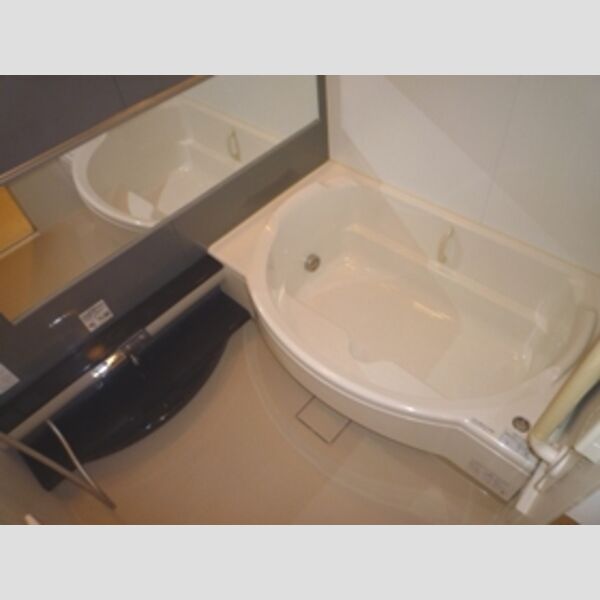 バス (お風呂の雰囲気です♪)